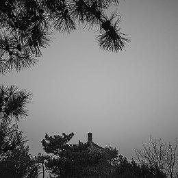 《沙漠大冒险》全新实机 4月25日发售